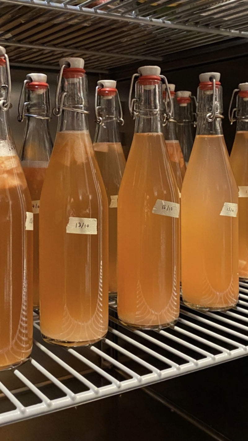 Glass bottles of kombucha with natural fermentation bubbles.