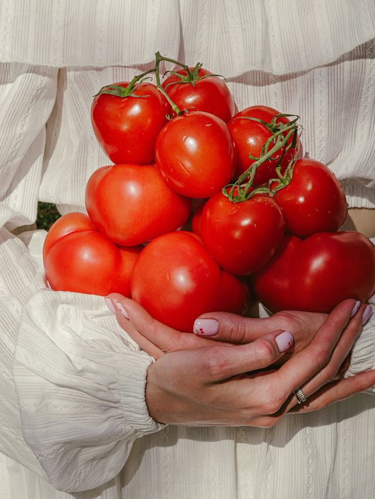 Common nightshade vegetables including tomatoes, peppers, aubergines, and potatoes
